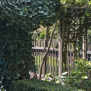 Pielęgnacja ogrodów Bydgoszcz